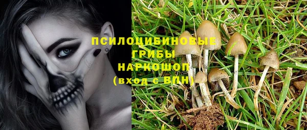 а пвп мука Баксан