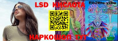 СК Новозыбков