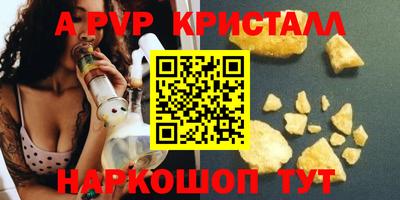 СК Новозыбков