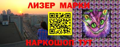 стаф Новодвинск