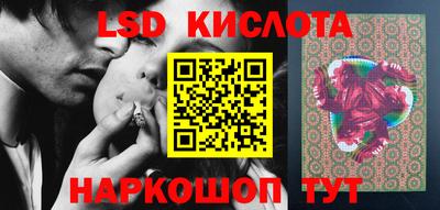 стаф Новодвинск