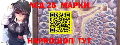 СК Новозыбков