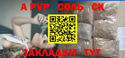 СК Новозыбков