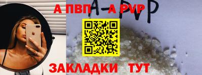 СК Новозыбков