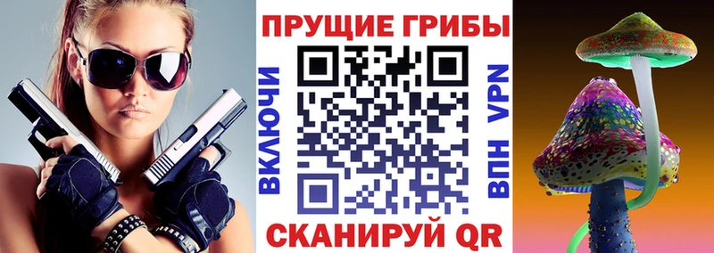 наркошоп  Черняховск  Псилоцибиновые грибы Psilocybe 